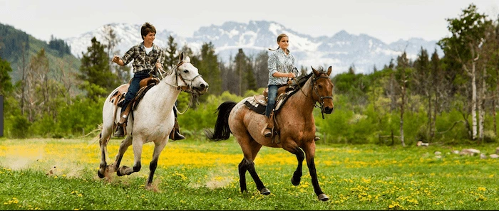 Confident plus-size woman riding City of London a horse through a field with a smile on her face.